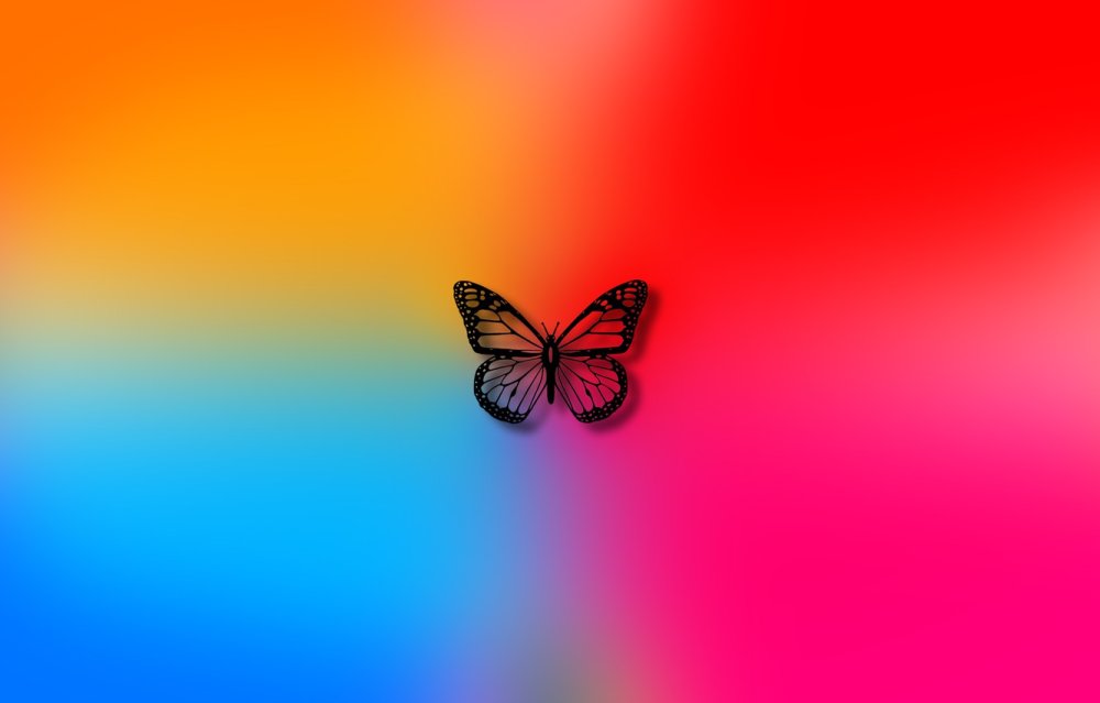 Фон бабочки