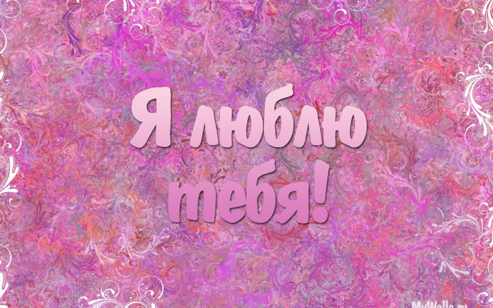 Обои с надписью я тебя люблю