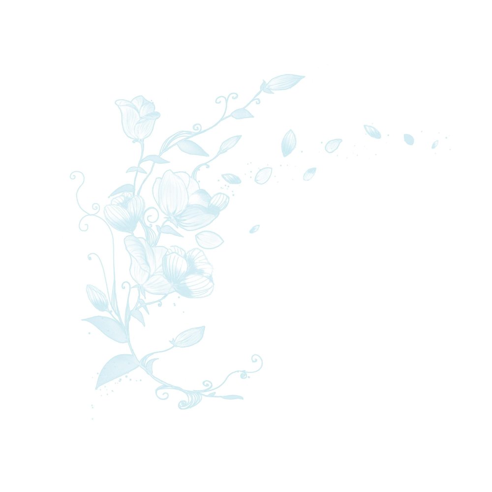 Нежные цветы на прозрачном фоне для фотошопа