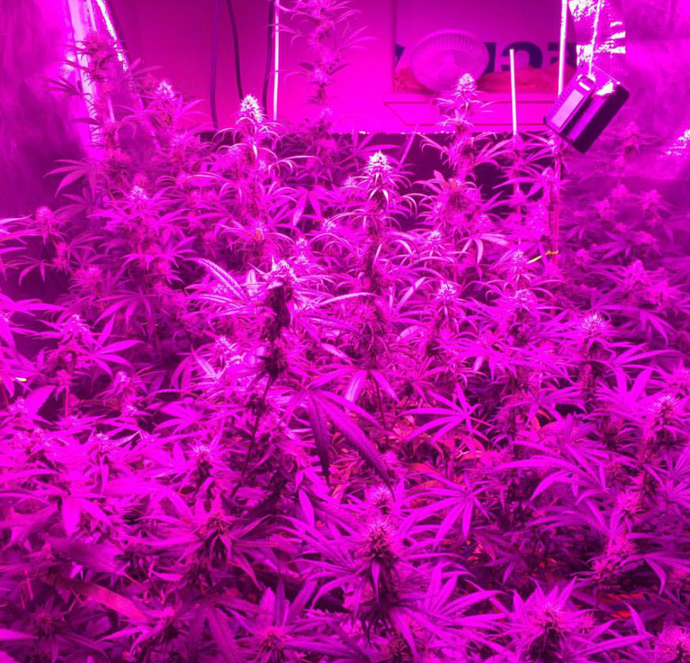 Розовый неон Эстетика