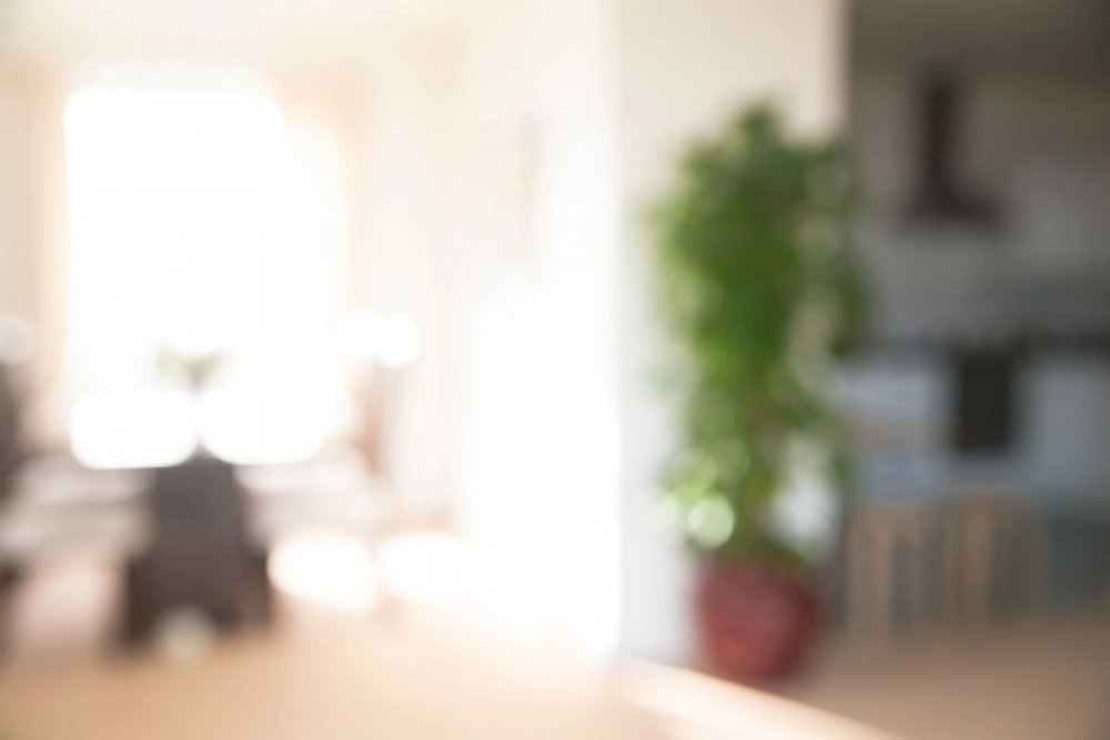 Размытый фон Zoom