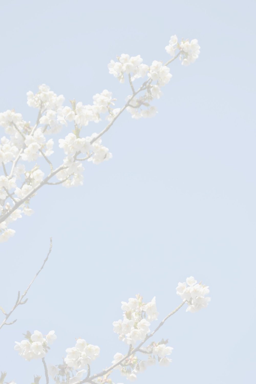 Светлая Эстетика