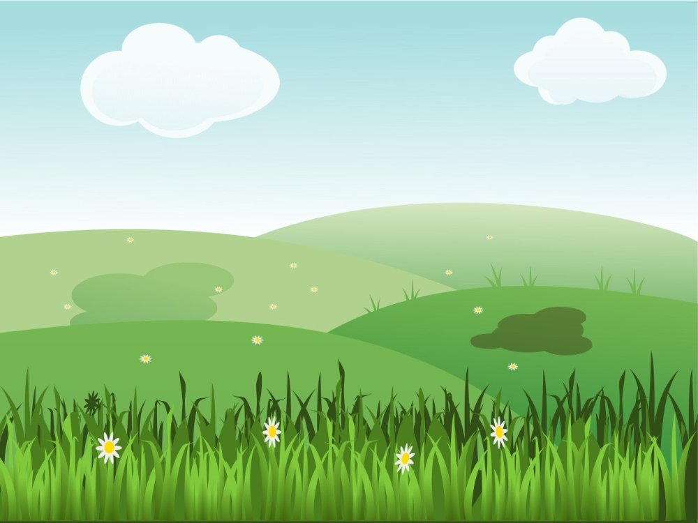 Фон Полянка