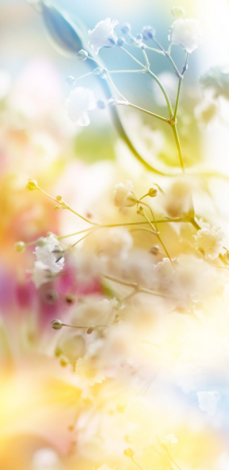 Фон светлый вертикальный