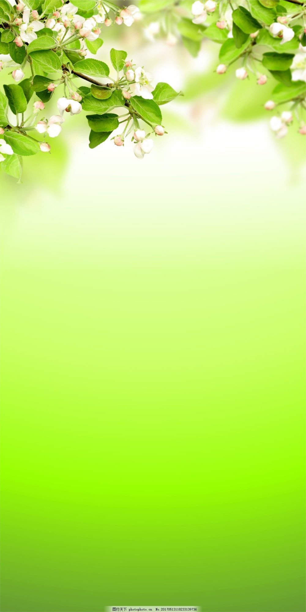 Весенний фон