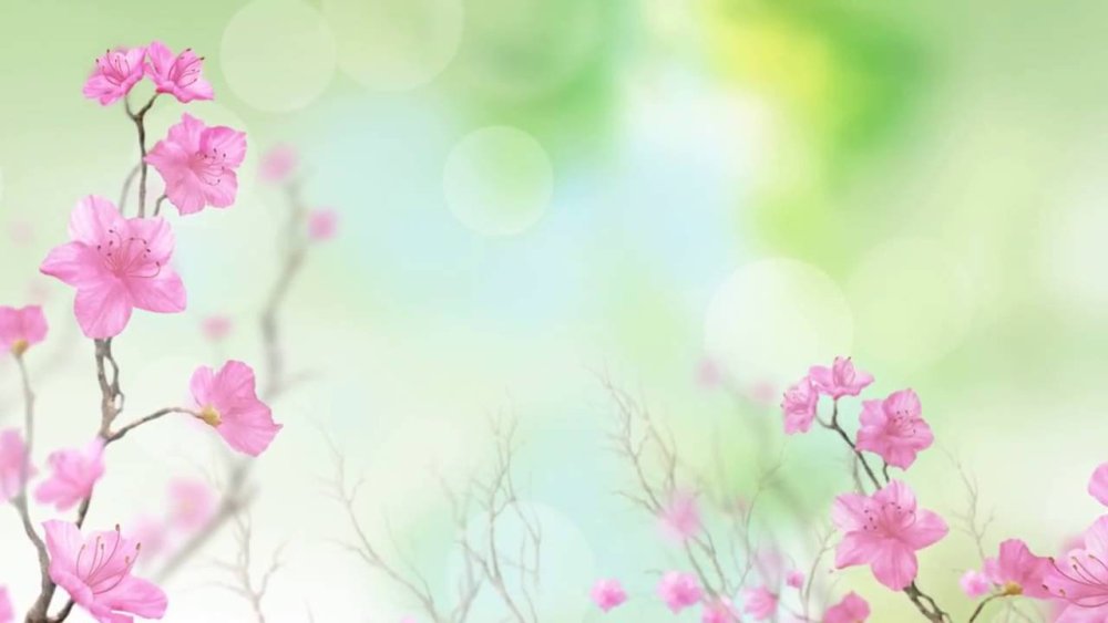 Фон с цветочками нежный