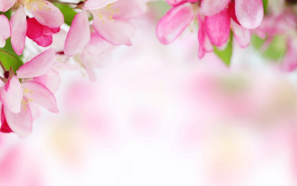 Праздничный весенний фон