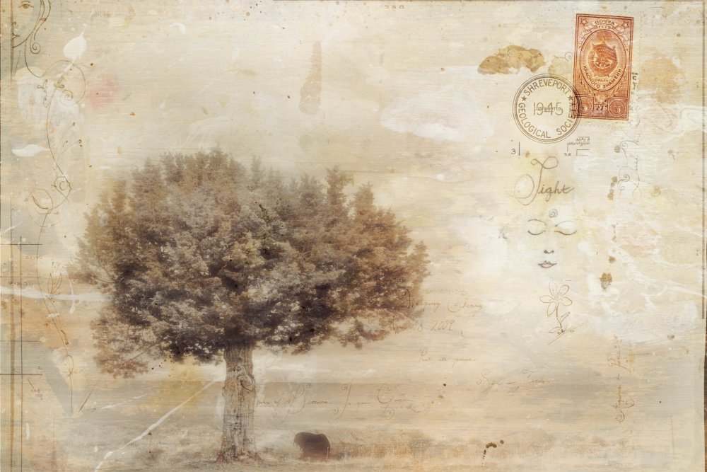 Винтажные фоны