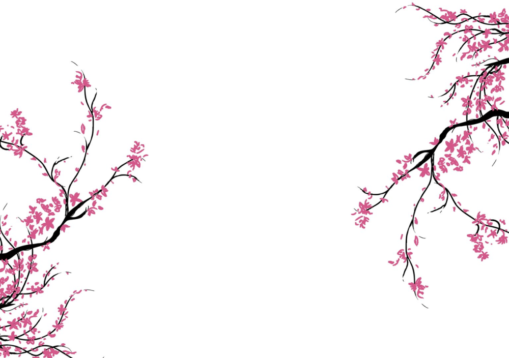 Ветка Сакуры фон