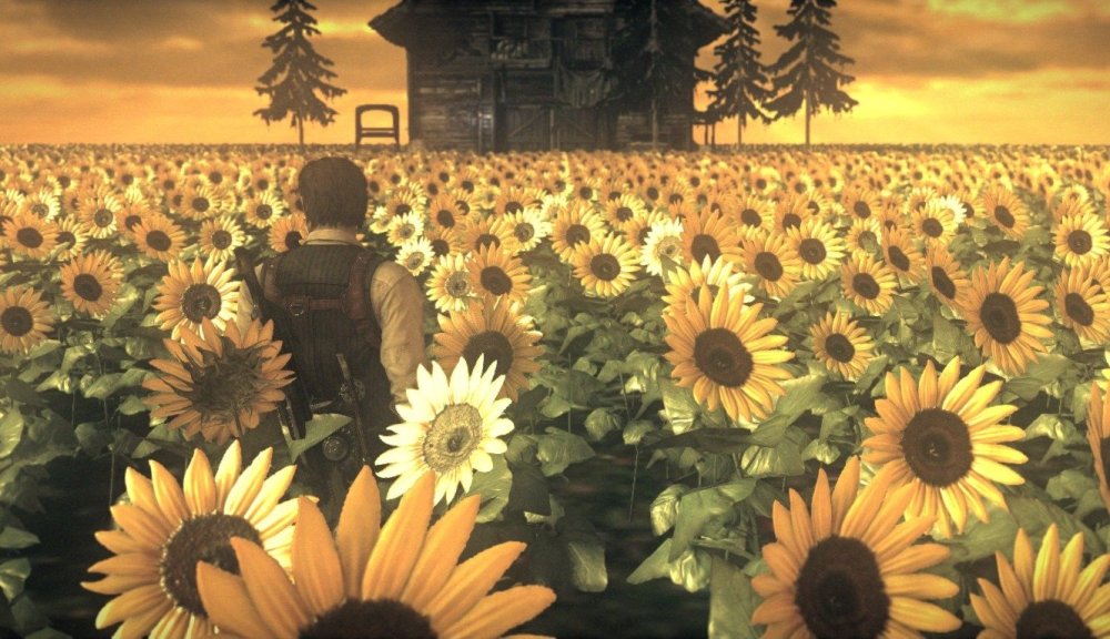 Подсолнуховые поля Алтай