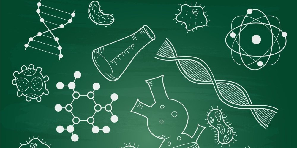 Картинки для презентации по биологии