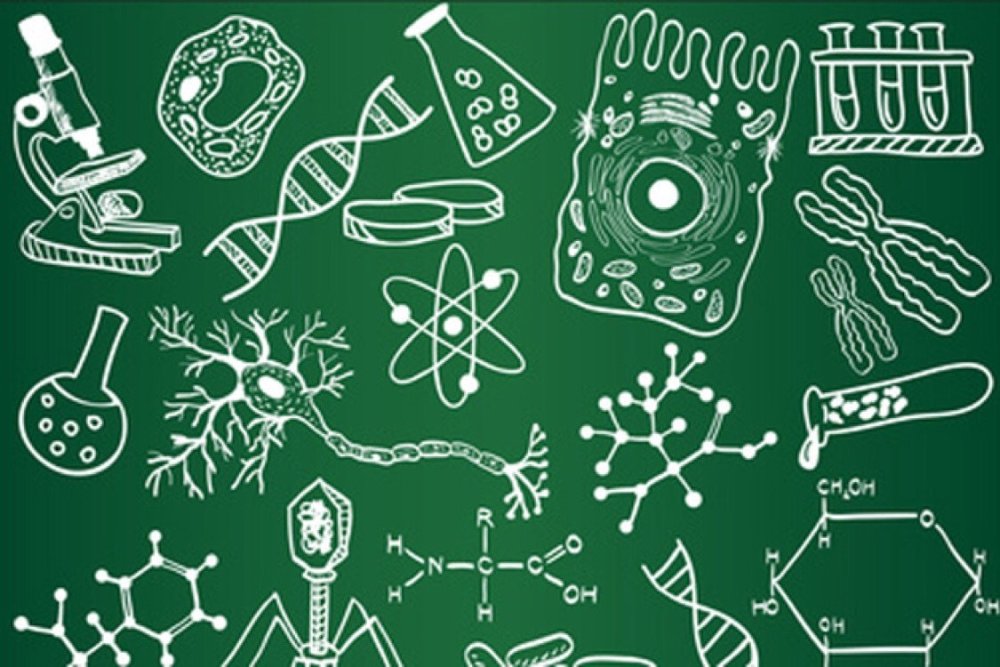 Терминология по биологии