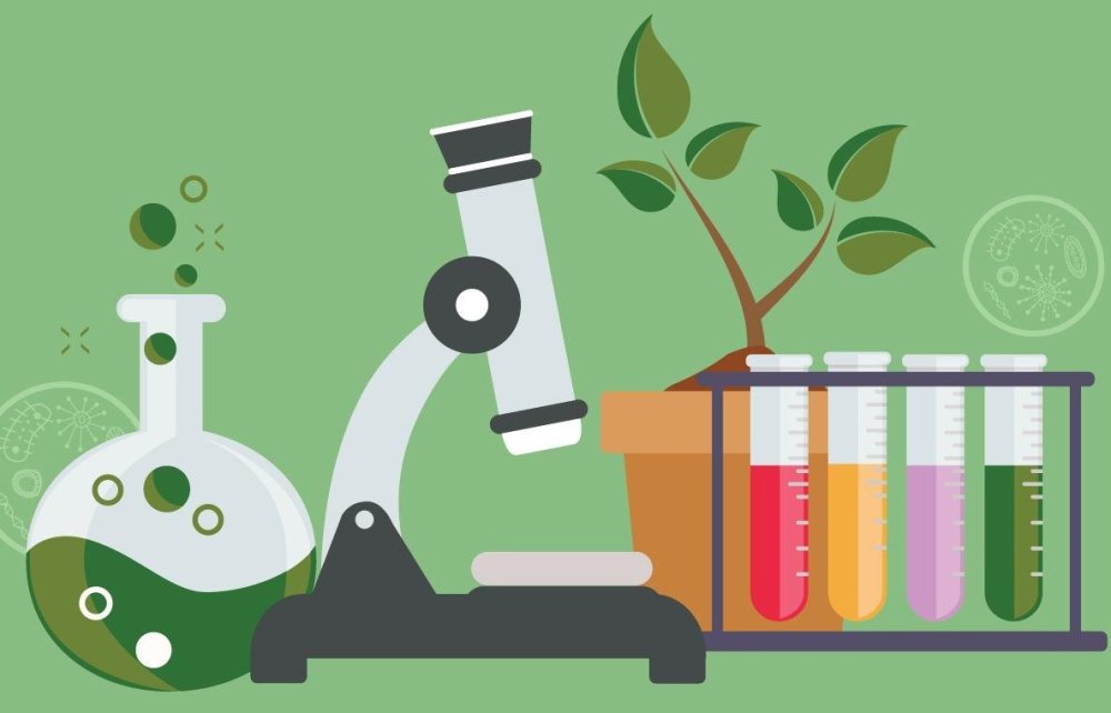 Научная иллюстрация