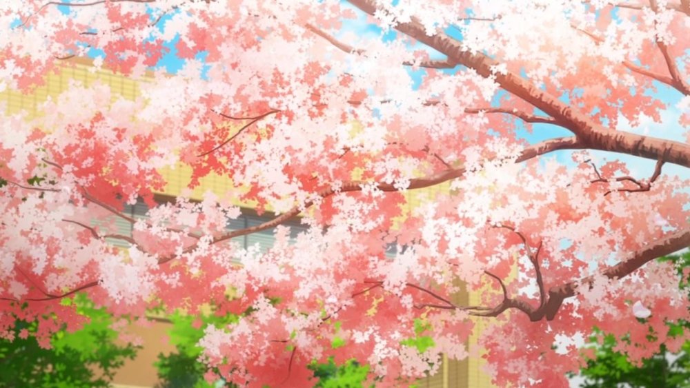 Сакура аниме