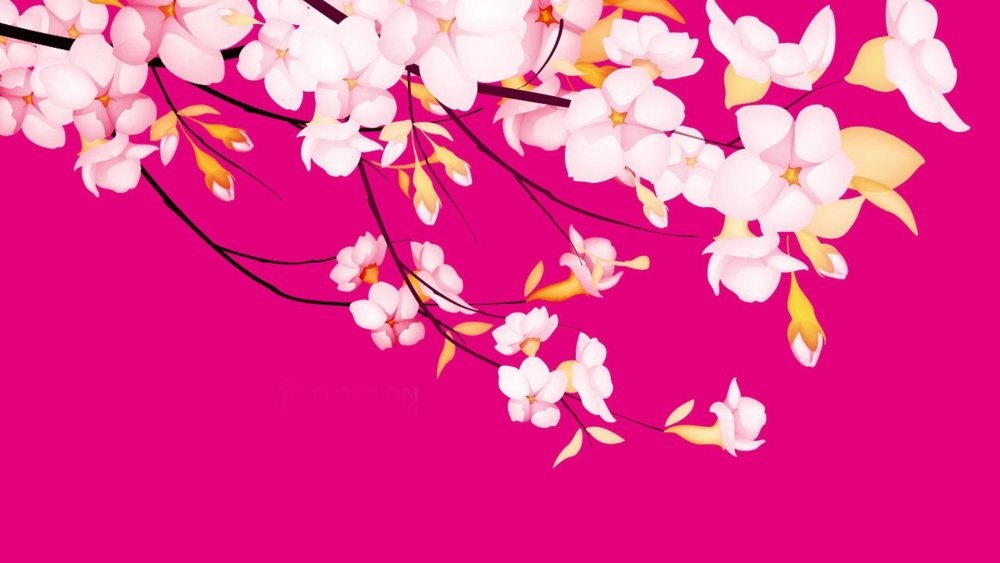 Фон с цветами Сакуры