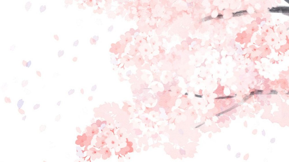 Нежная Сакура на белом фоне