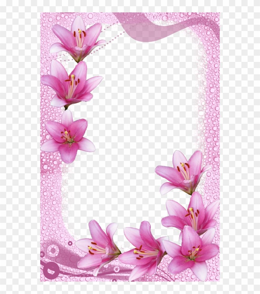 Моё портфолио воспитателя детского сада