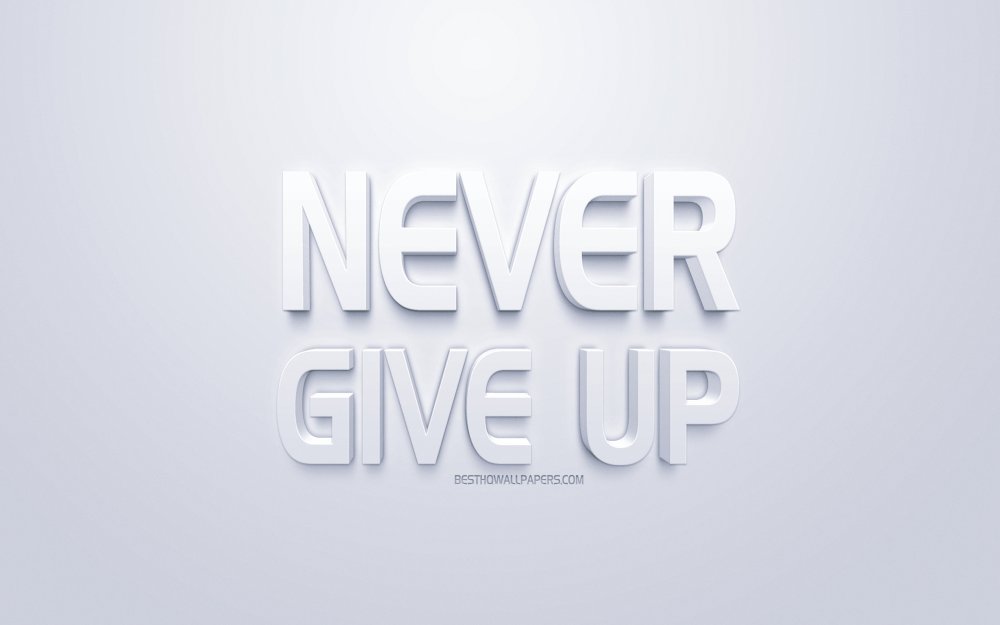 Never give up на рабочий стол