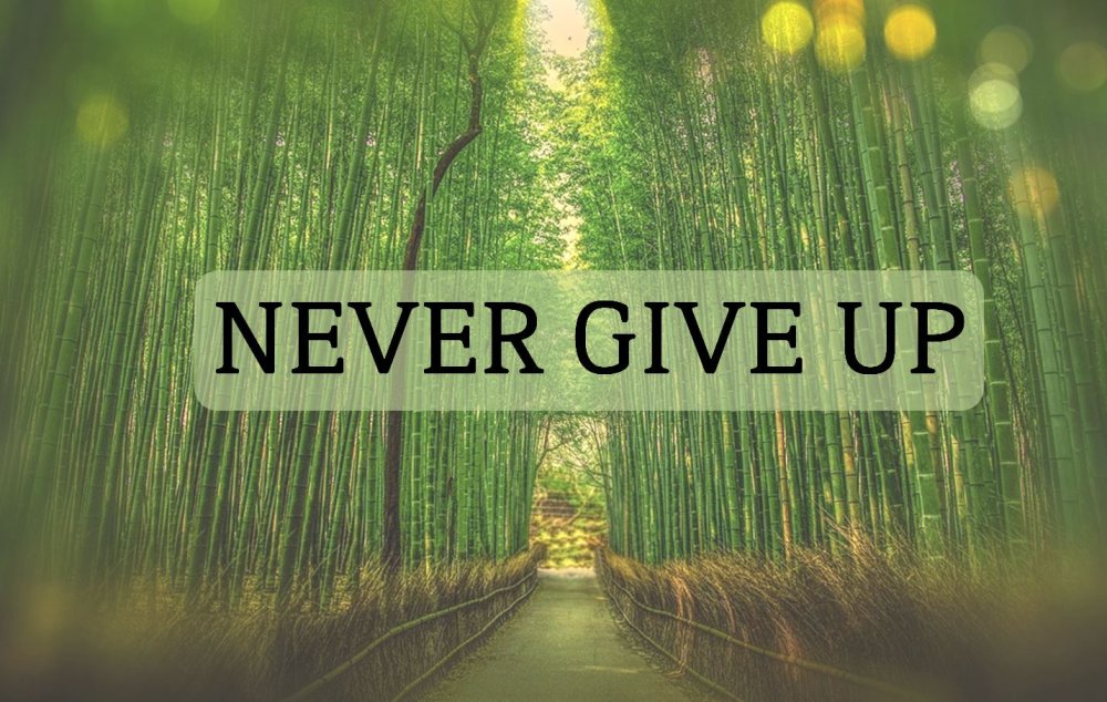 Never give up картинки
