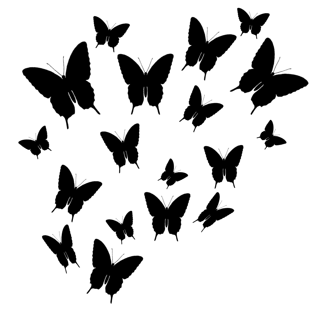 Черные бабочки на белом фоне