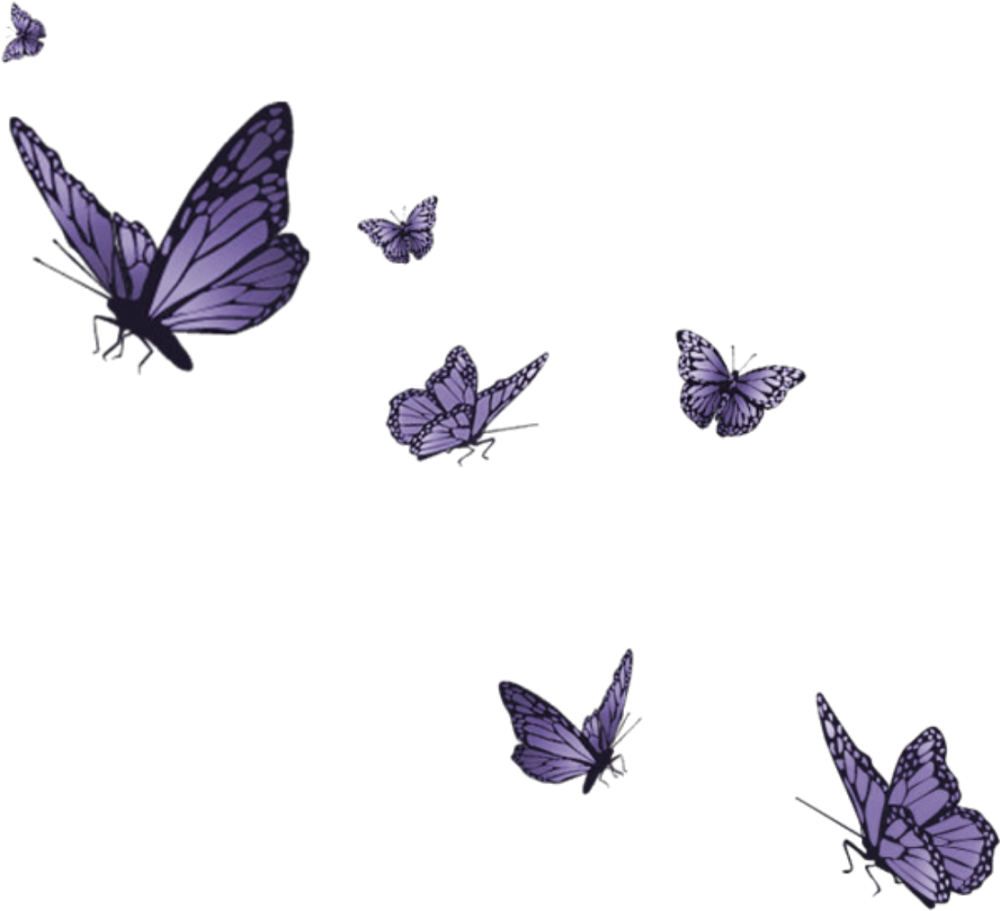 Бабочка фиолетовая