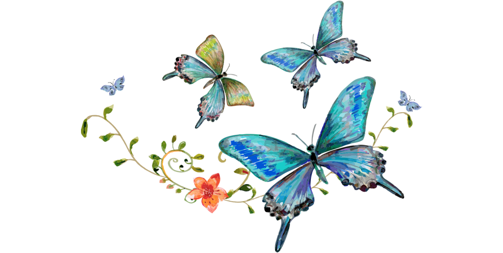 Бабочки акварель на белом фоне