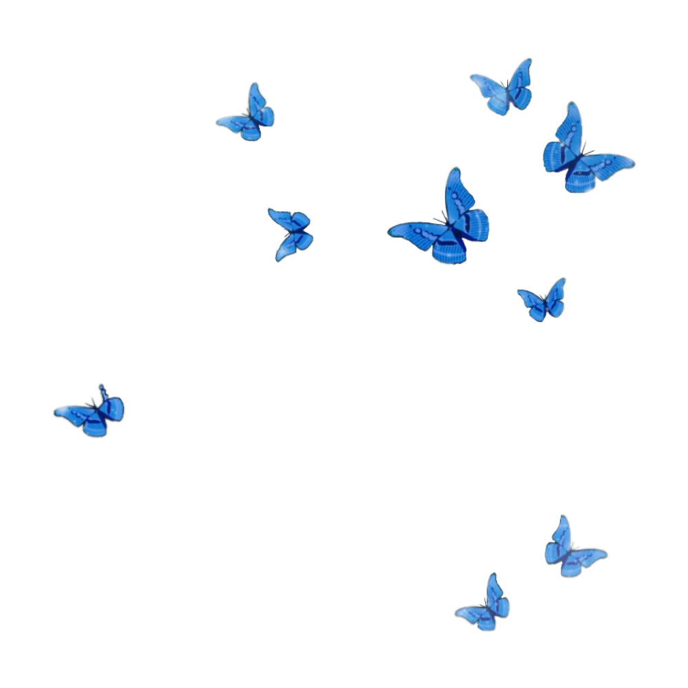 Много бабочек