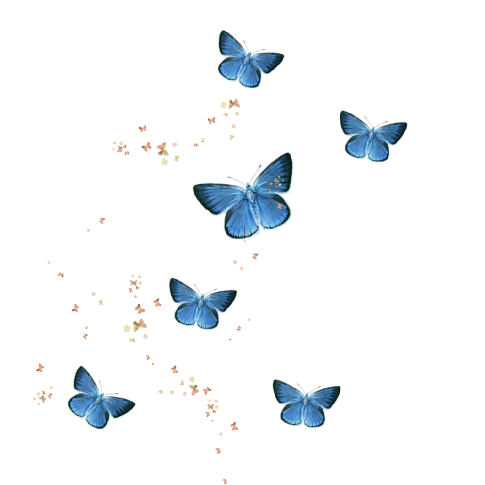 Бабочки для фотошопа