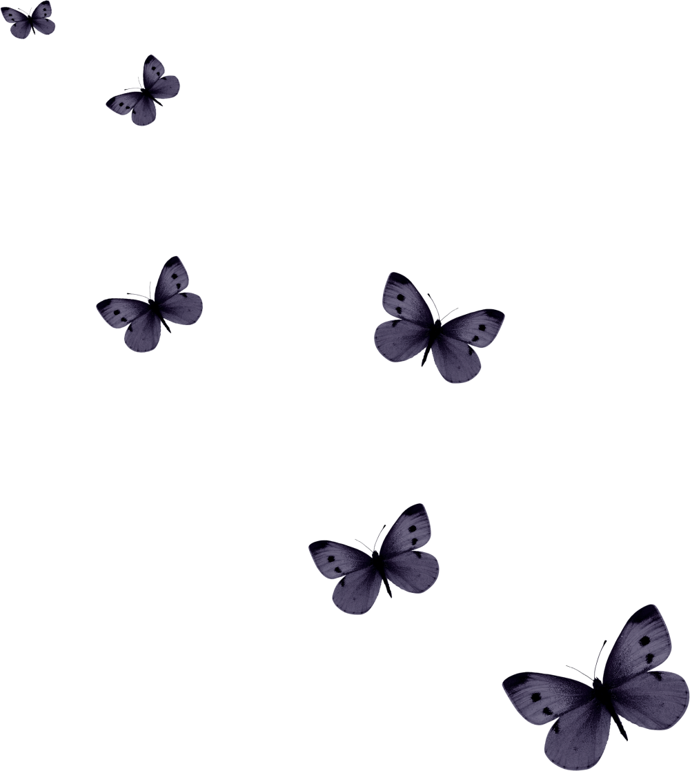 Анимация бабочки