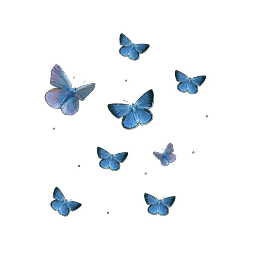 Красивые бабочки на белом фоне