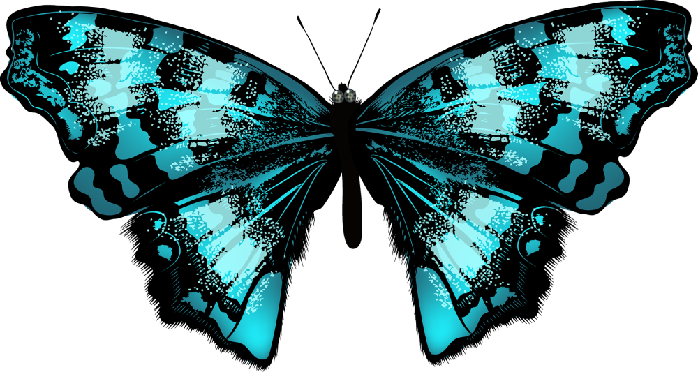 Клипарты для фотошопа бабочки