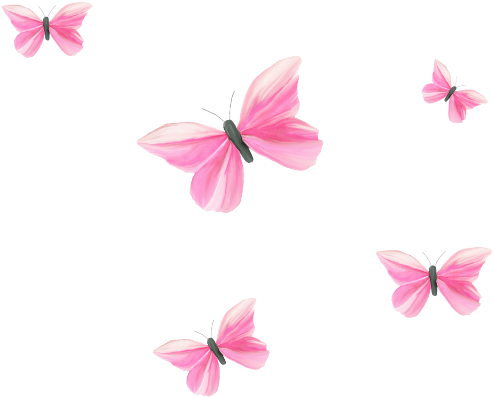 Бабочки на белом фоне