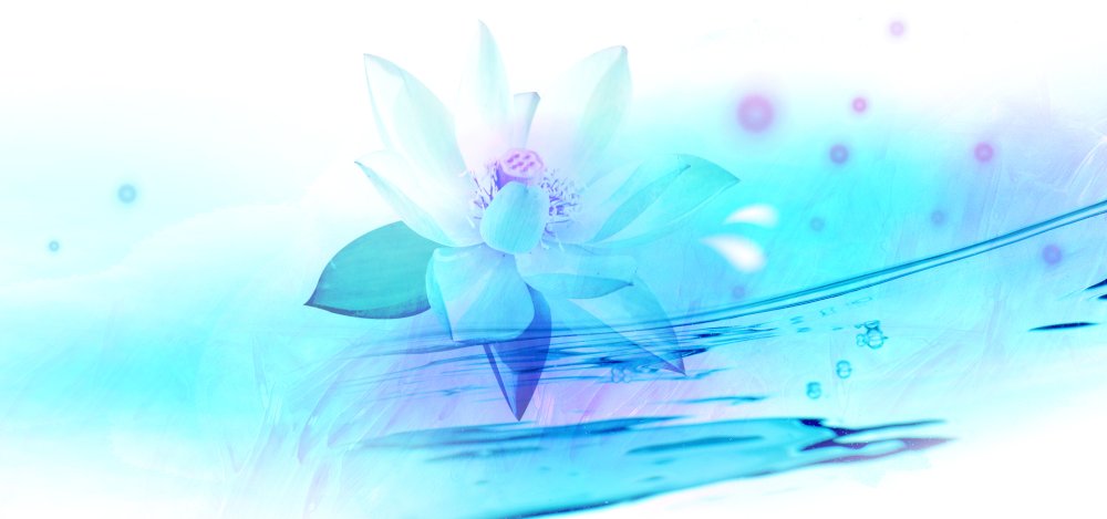 Лотос на голубом фоне