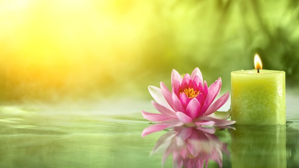 Фон для презентации Лотос