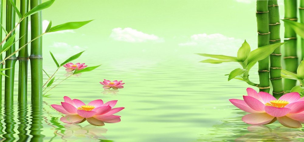Азия Лотос бамбук