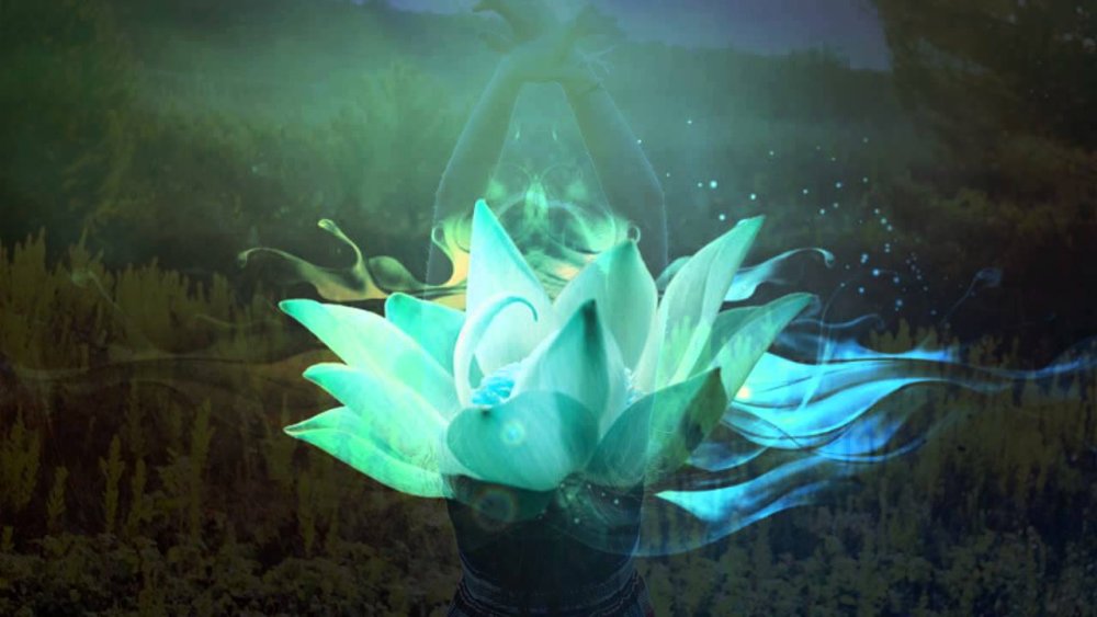 Изумрудный Лотос