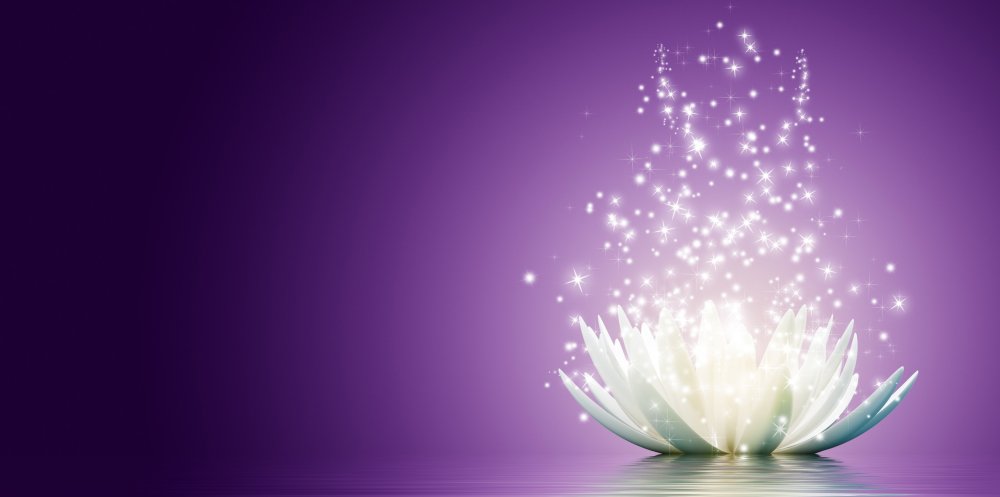 Лотос чистота