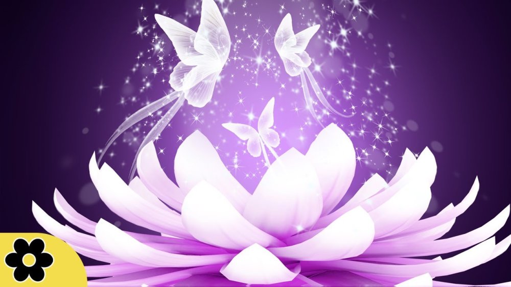 Чарующий цветок лотоса