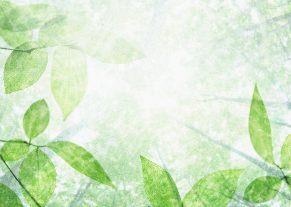 Фон для презентации по био