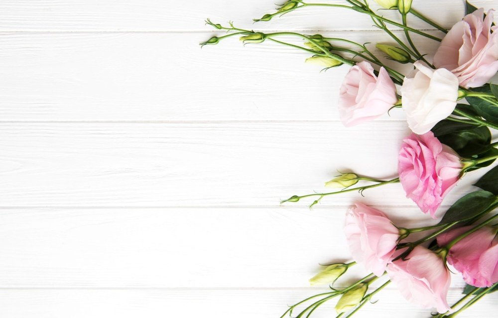 Стильный фон с цветами