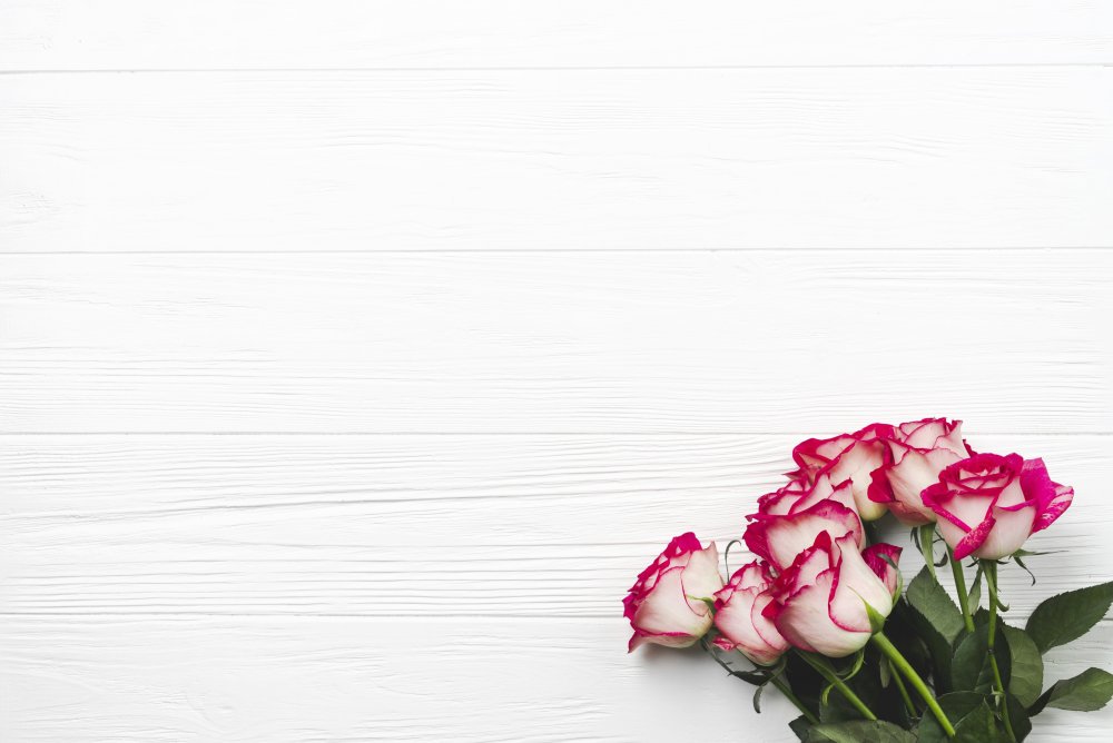 Фон для поздравления