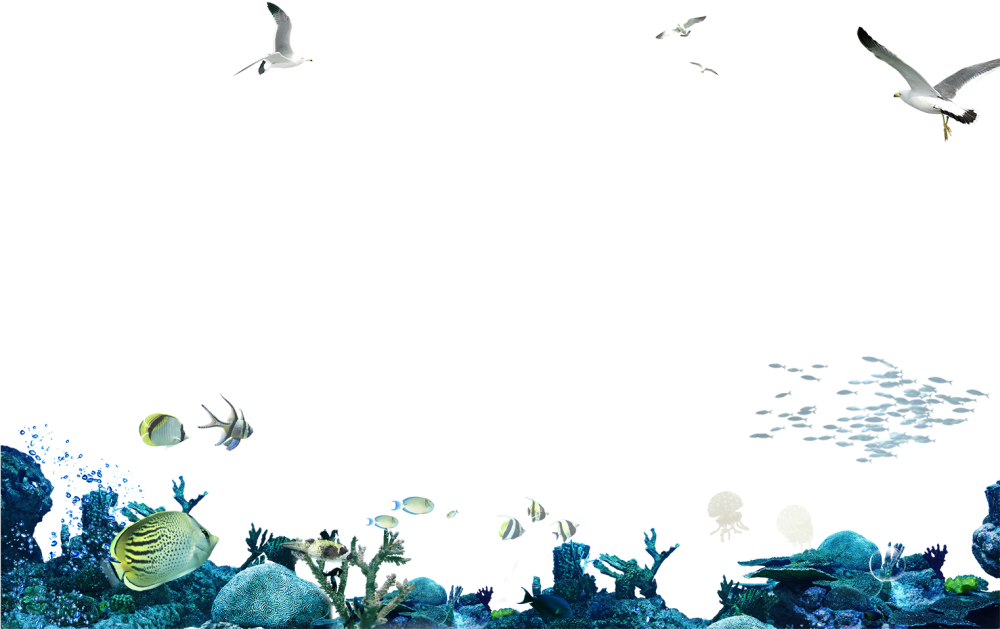 Морское дно на прозрачном фоне