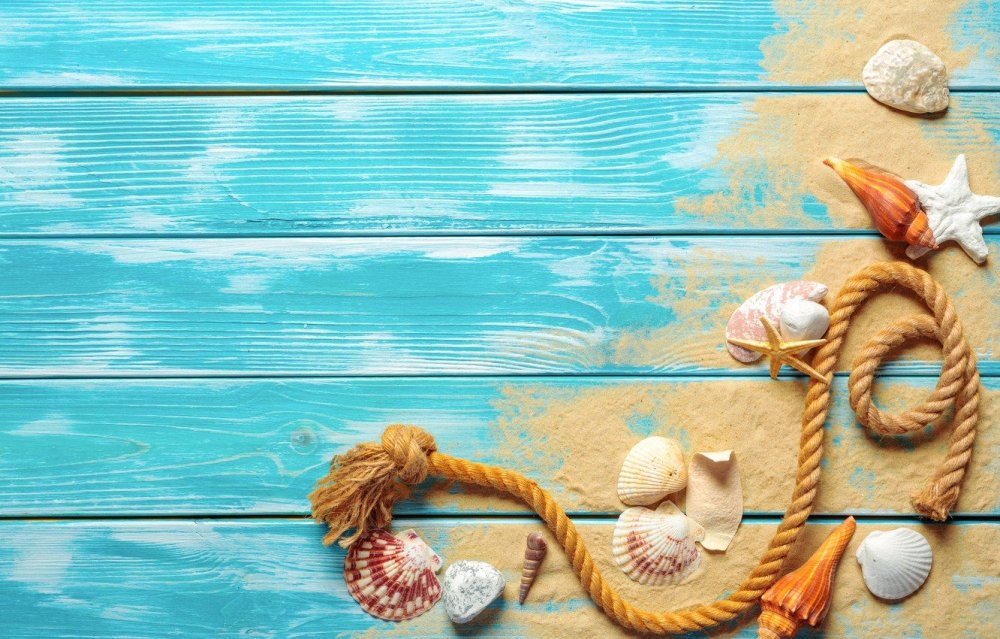 Фон ракушки