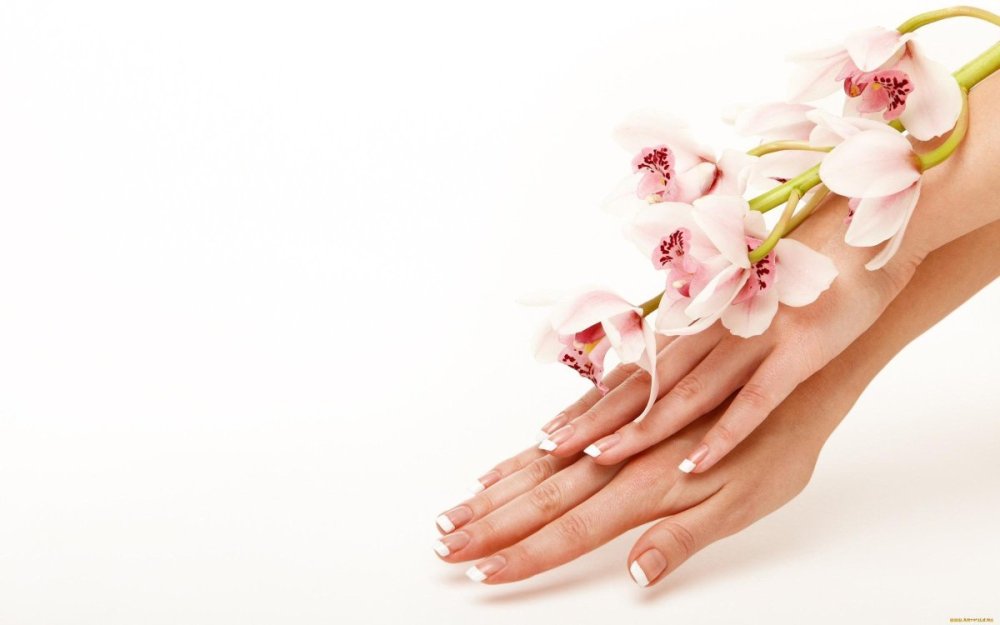 Фон для парикмахерской