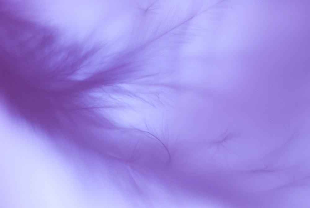 Светло фиолетовый