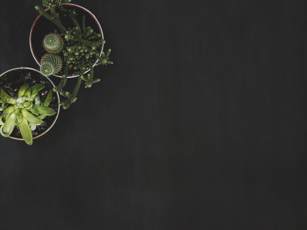 Черные обои