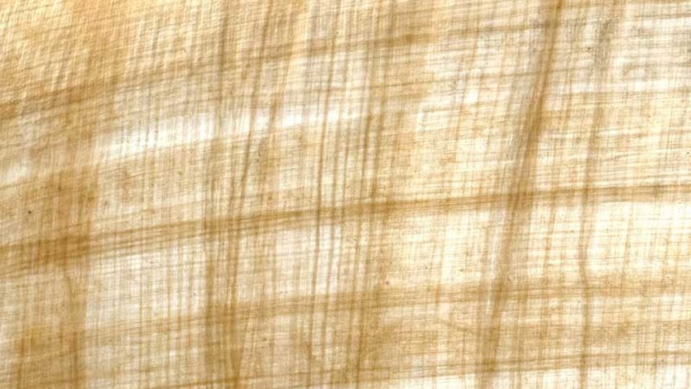 Папирус фон