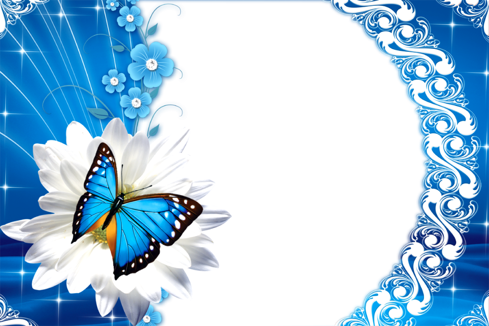 Фон для презентации лето