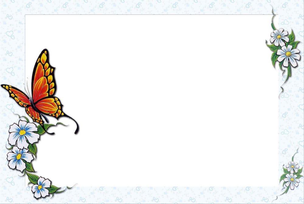 Бабочки на белом фоне обои