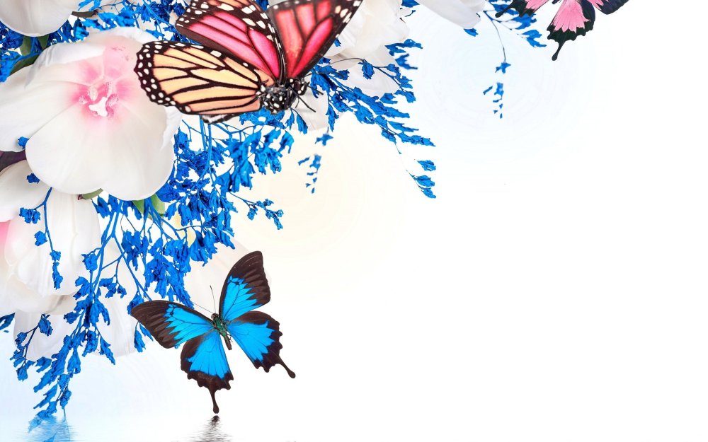 Фон бабочки